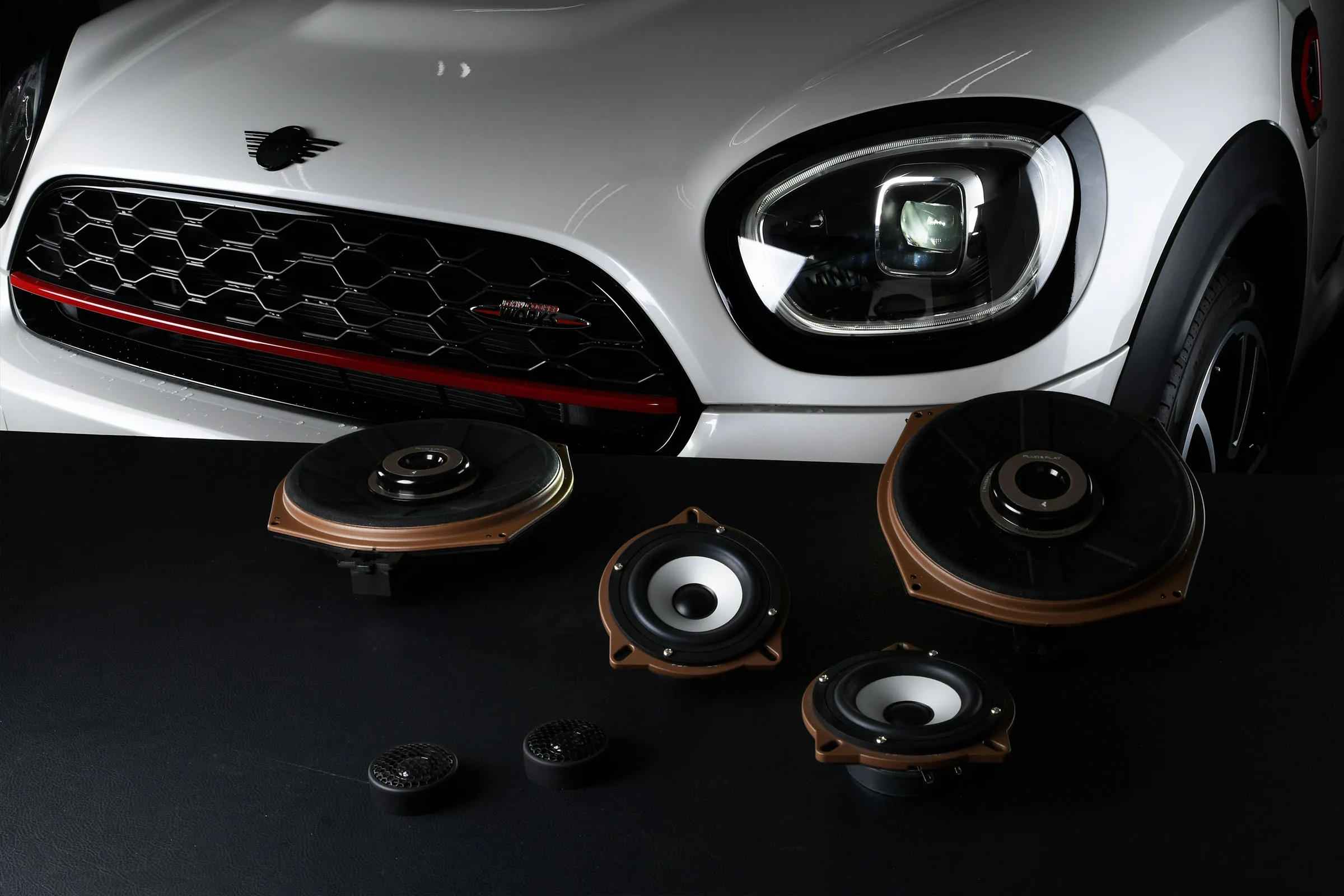Platinum Voice for MINI